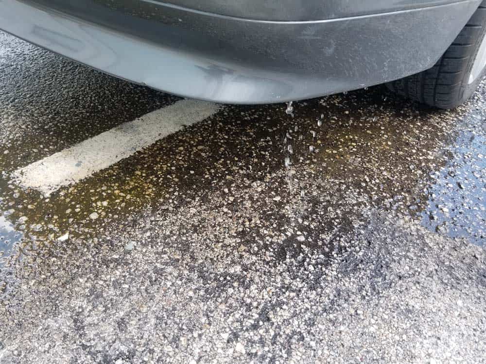 bmw e61 trunk leak - water should flow out of bottom of car when lower drain is clear.