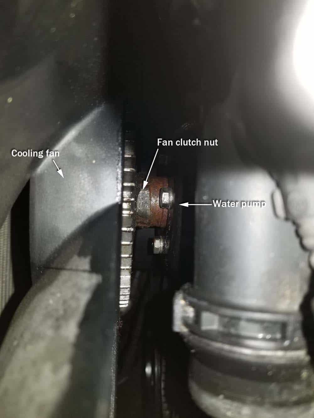 BMW E46 thermostat - locate the fan clutch nut