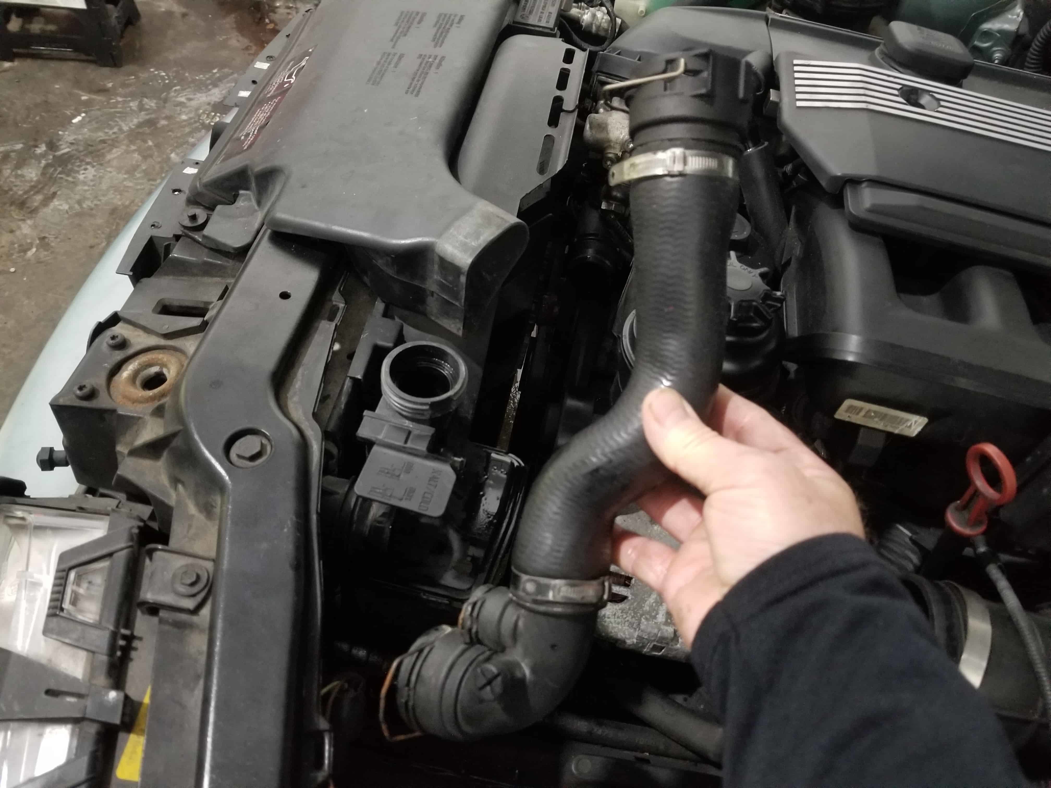 Remove the upper coolant hose from vehicle